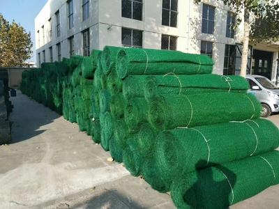 日(ri)喀(ka)則地區鋼塑復合(he)土(tu)工格(ge)柵(zha)價格(ge)《-歡迎(ying)您(nin)》日(ri)喀(ka)則地區價格(ge)《-歡迎(ying)您(nin)》