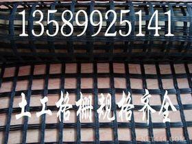 【玻纖(xian)土(tu)工格柵|鋼塑土(tu)工格柵價(jia)格_玻纖(xian)土(tu)工格柵|鋼塑土(tu)工格柵廠(chang)家】- 