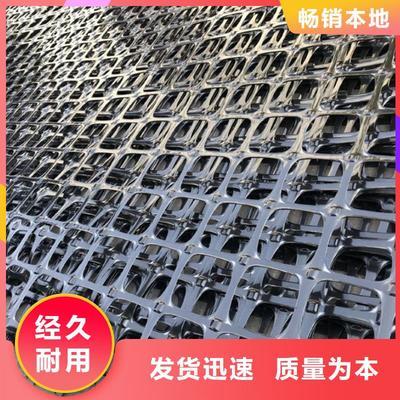 鋼塑土(tu)工格柵