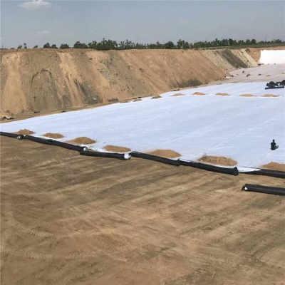 營(ying)口(kou)鋼塑(su)土工格(ge)柵(zha)廠(chang)家(jia)今(jin)日(ri)報(bao)價及市(shi)場行情分(fen)析