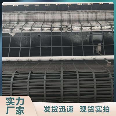 鋼塑土(tu)工格(ge)柵 億(yi)路(lu)通(tong)新(xin)材料（滁(chu)州市(shi)分公司(si)）的產品簡(jian)介