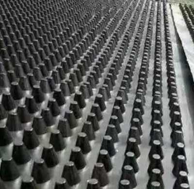 江(jiang)門雙(shuang)向(xiang)鋼塑土工格柵廠(chang)家規(gui)格推薦(jian)