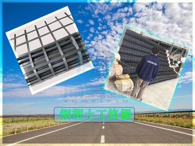土工格柵與鋼塑土工格柵的(de)應(ying)用與優勢(shi)